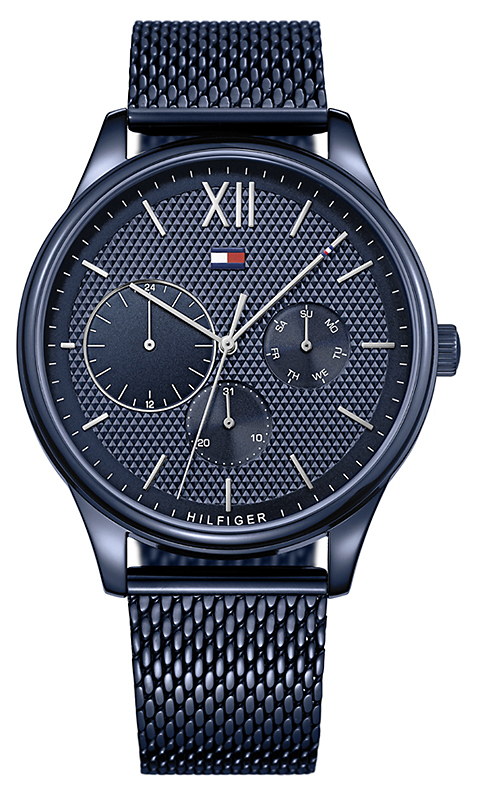 Damon Tommy Hilfiger 1791421 