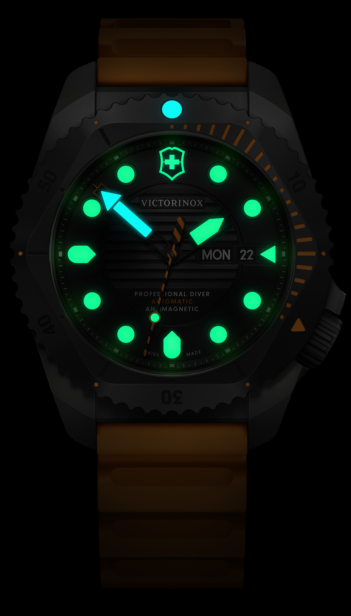 Dive Pro Automatic Titanium Victorinox 241996 - hover