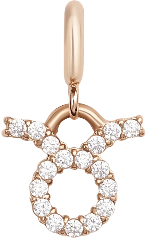 Zodiac Watch Charm Rose Gold Taurus  Daniel Wellington DW01500014 