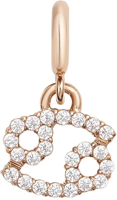Zodiac Watch Charm Rose Gold Cancer Daniel Wellington DW01500016 