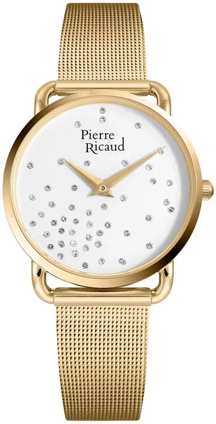 Pierre Ricaud P21066.1143Q Pasek