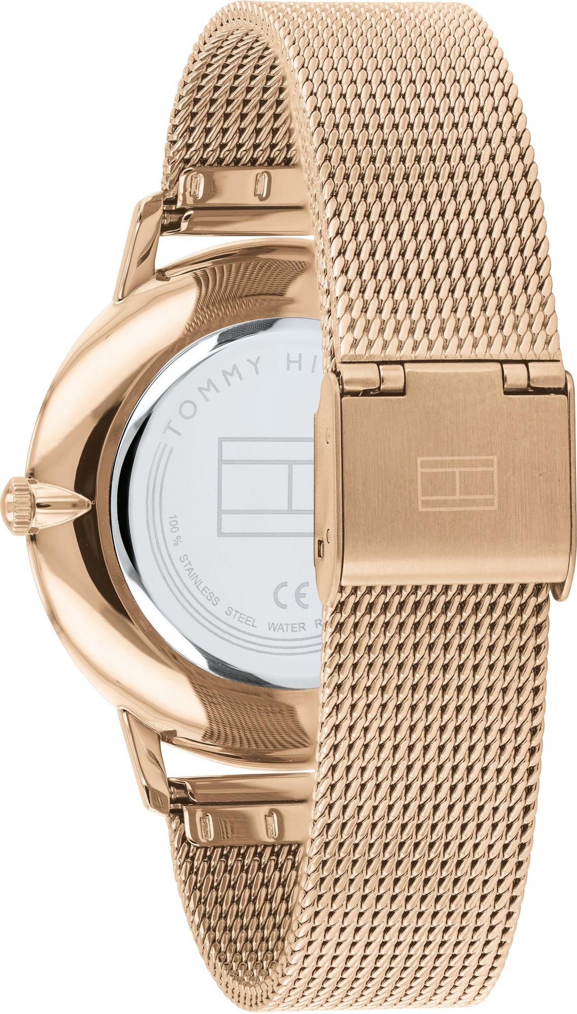 Tommy Hilfiger 1782246 Alex zegarek klasyczny Męskie