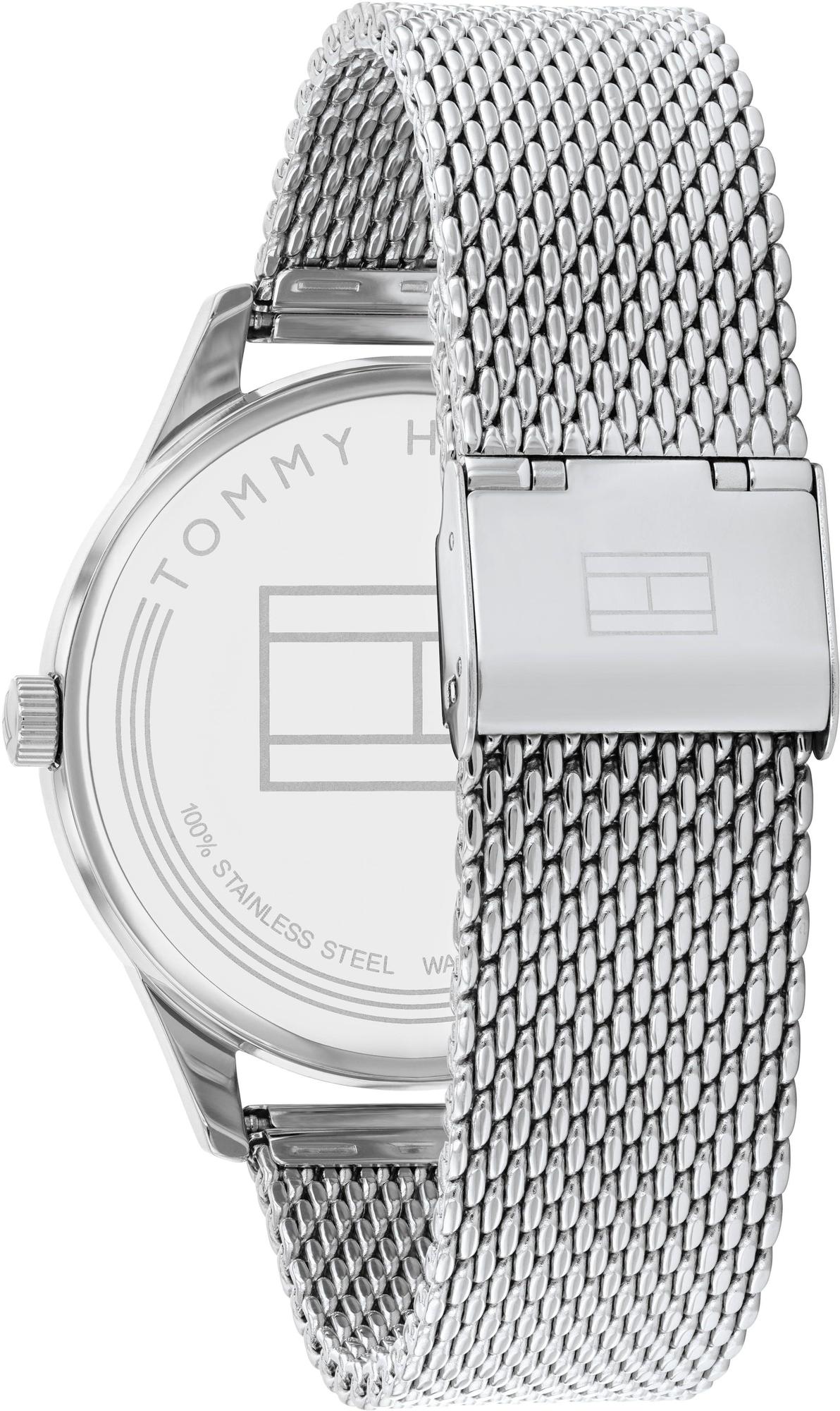 Tommy Hilfiger 1791846 Damon zegarek klasyczny Męskie