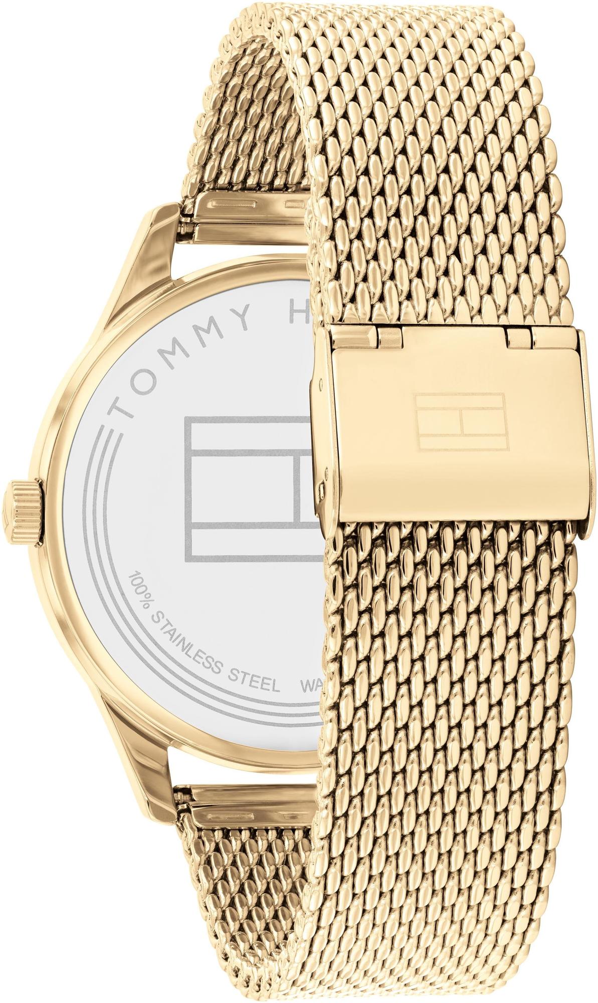 Tommy Hilfiger 1791848 Damon zegarek klasyczny Męskie