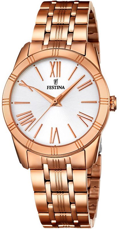 Classic Festina F16943-1 