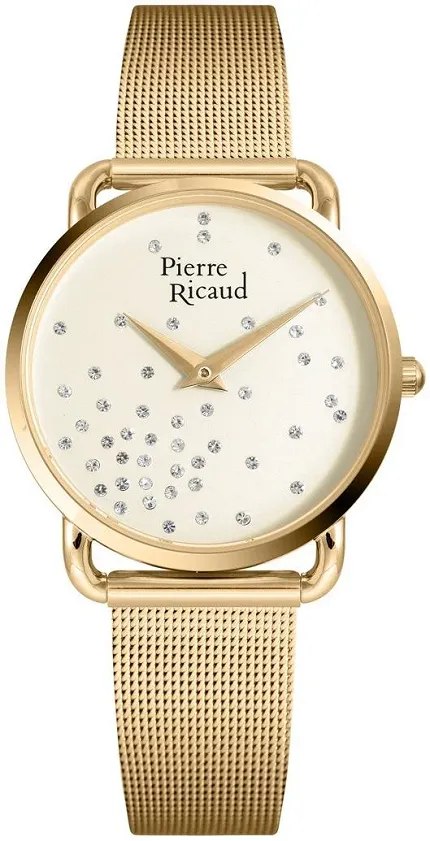 Pierre Ricaud P21066.1141Q Pasek