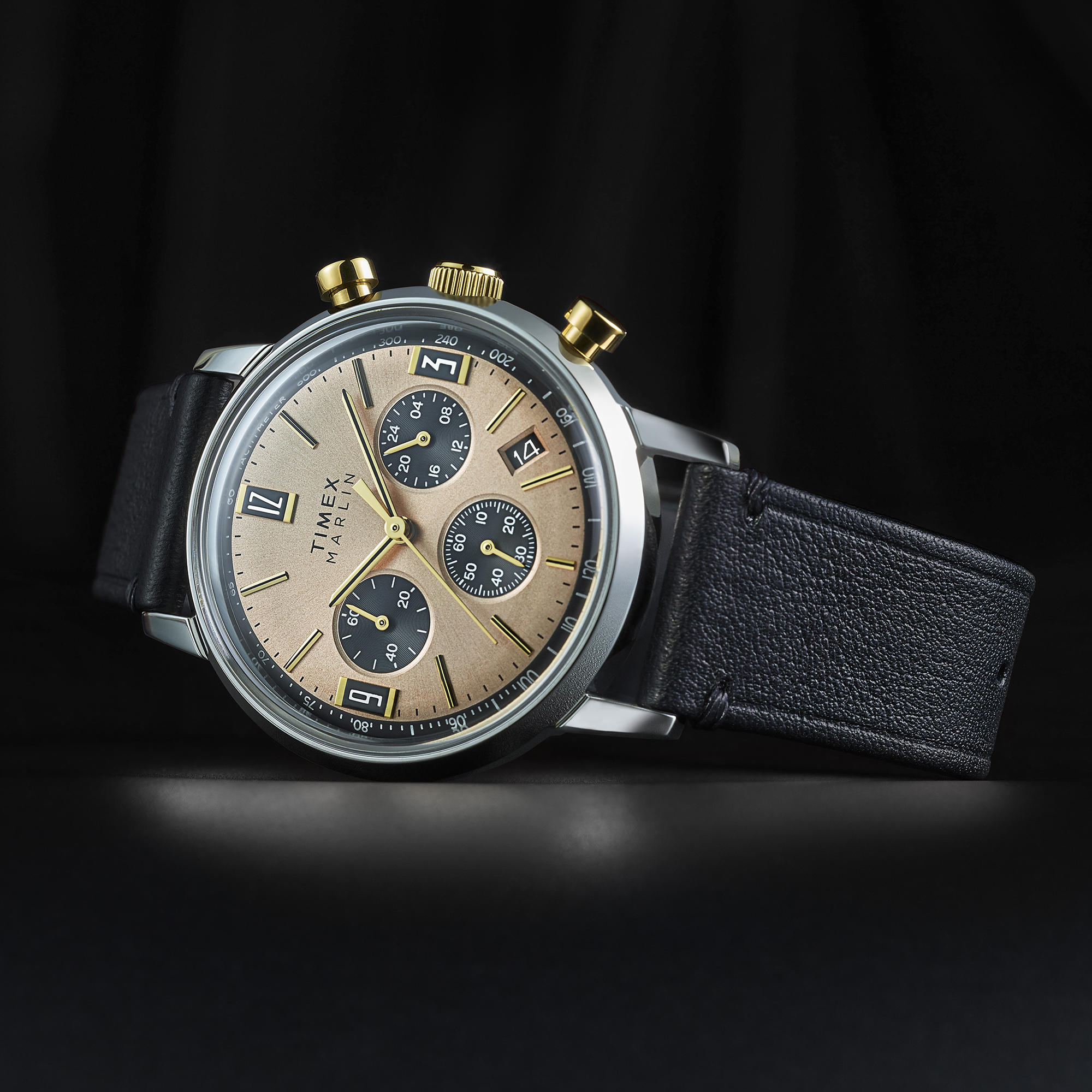 zegarek Timex TW2W60300