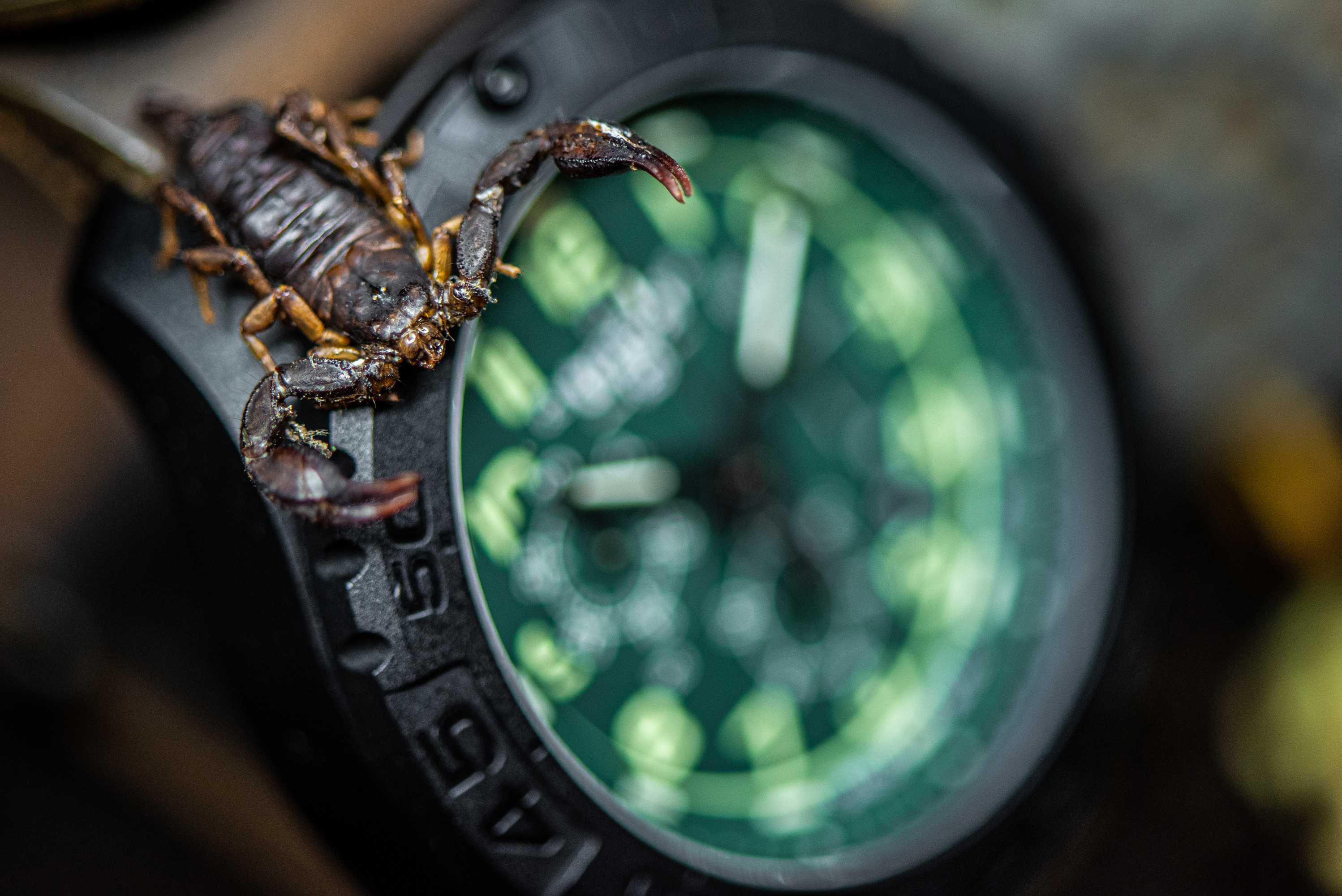 zegarek Traser TS-109047 kwarcowy męski P96 Outdoor Pioneer Evolution P96 OdP Evolution Chrono Green - miniatura 7